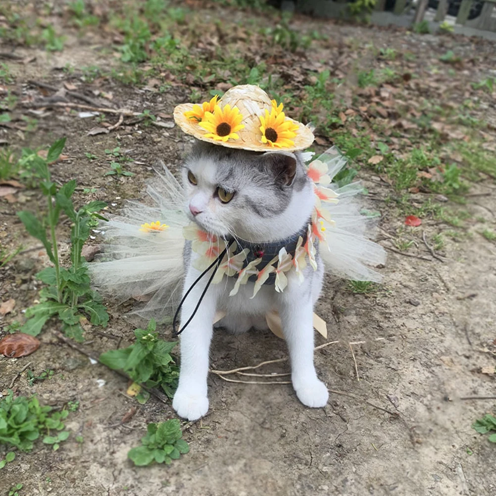 

1 set 1 Set Pet Costume Summer Beach Dog Skirt Wreath Hat Mesh Accessories For Vacation Outdoor Party Cat Dog Dress Up Fun