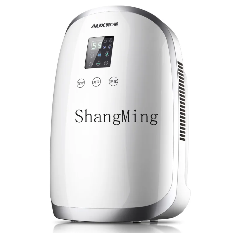 ZYY deumidificatore domestico camera da letto seminterrato piccolo deumidificatore asciugatrice