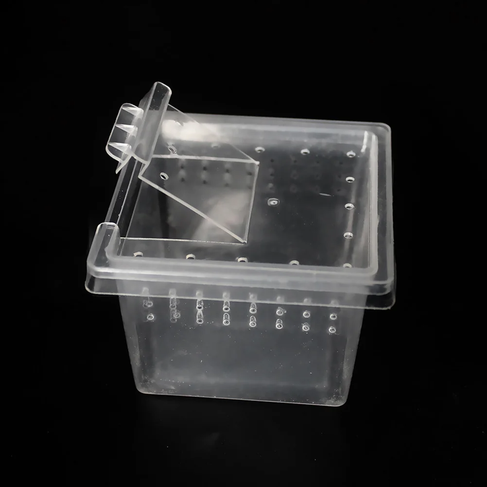 

10 Pcs Animal Reptile Feeding Box Clear Boxes For Pet Spiders Keeping Transparent Insect Habitat Terrarium