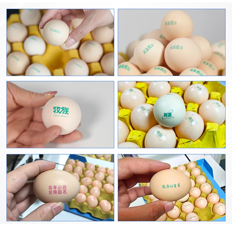 Egg Inkjet Printer 12.7MM Online Thermal Inkjet Printer for Egg QR Barcode Variable Date Expiry Date Number Logo