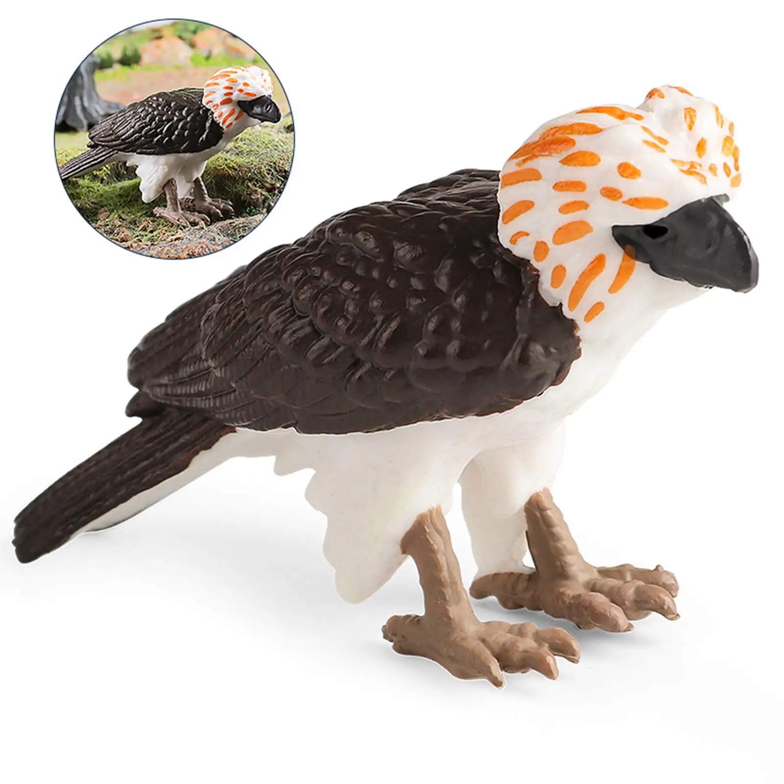 Simulation Philippine Eagle Playset Miniature Realistic Eagle Figurines for Kids Cake Topper Preschool Toy Educational Toys