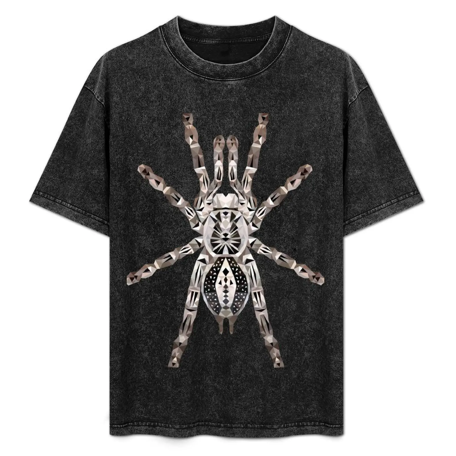 Tarantula Heteroscodra maculata tarantula T-Shirt Plus Size Loose Short Sleeve Top