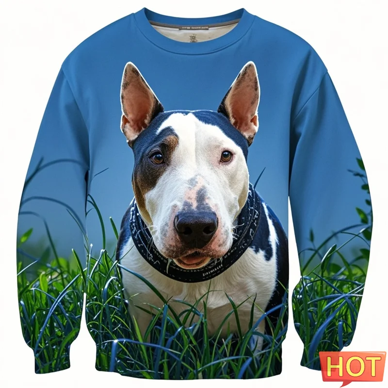 

Fashion Bull Terier Graphic Sweatshirts Clothes For Men 3d Printed Bulldog Harajuku Pullover For Kid Women Hoodie Sportwear Tops