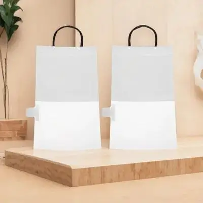 

10pcs Reusable Hanging Dehumidifier Bags Absorber Pack Empty Closet Humidity Control Refillable Boat Car
