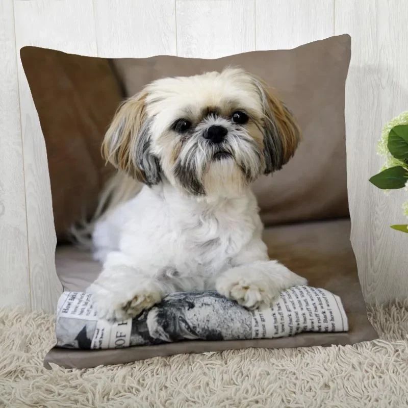 Shih Tzu Dog Pillow Cover Customize Pillowcase Modern Home Decorative Pillow Case For Living Room