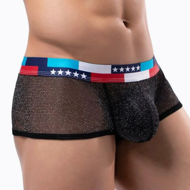 Men 2023 New Mesh Soft Feeling Large Cock Pouch Boxer Underwear Low Waist Lingerie Panties