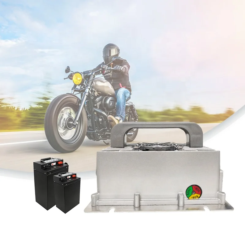 

Быстрое зарядное устройство для литий-ионного аккумулятора LiFePO4 800 Вт, 48 В, 60 В, 72 В