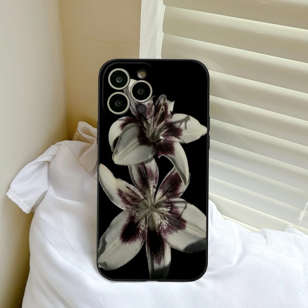 Lily Orchid Flower Print Phone Case For iPhone 17 16 15 14 13 12 11 Pro Max Mini SE4 7 8 Plus 17E Art Shockproof Silicone Cover