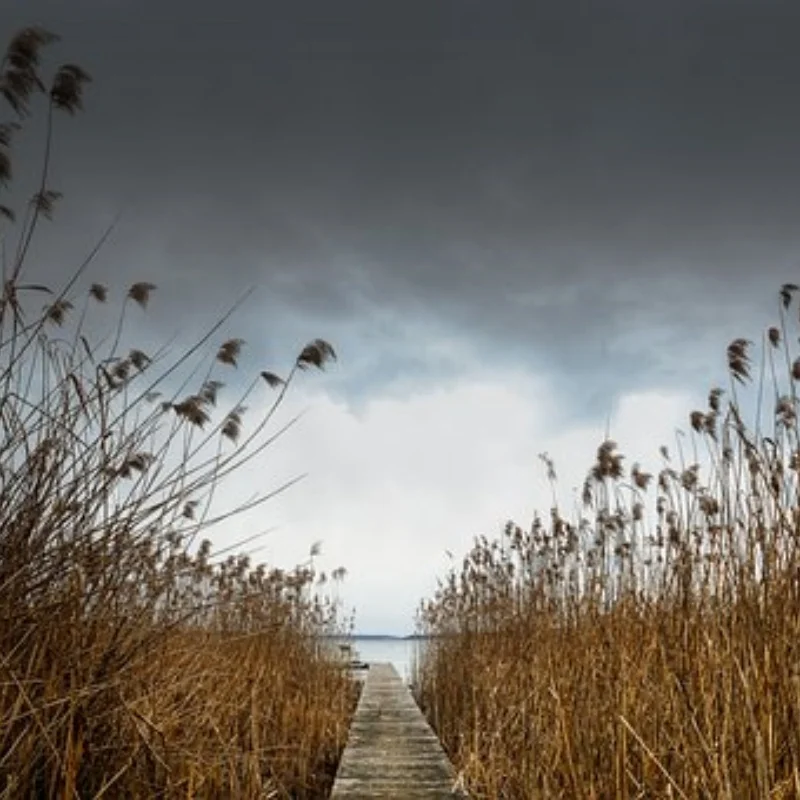 Protetor de armadura de chassi dianteiro e traseiro de aço inoxidável para mjx h8h v1 v2 1/8 rc acessórios de peças de atualização de carro