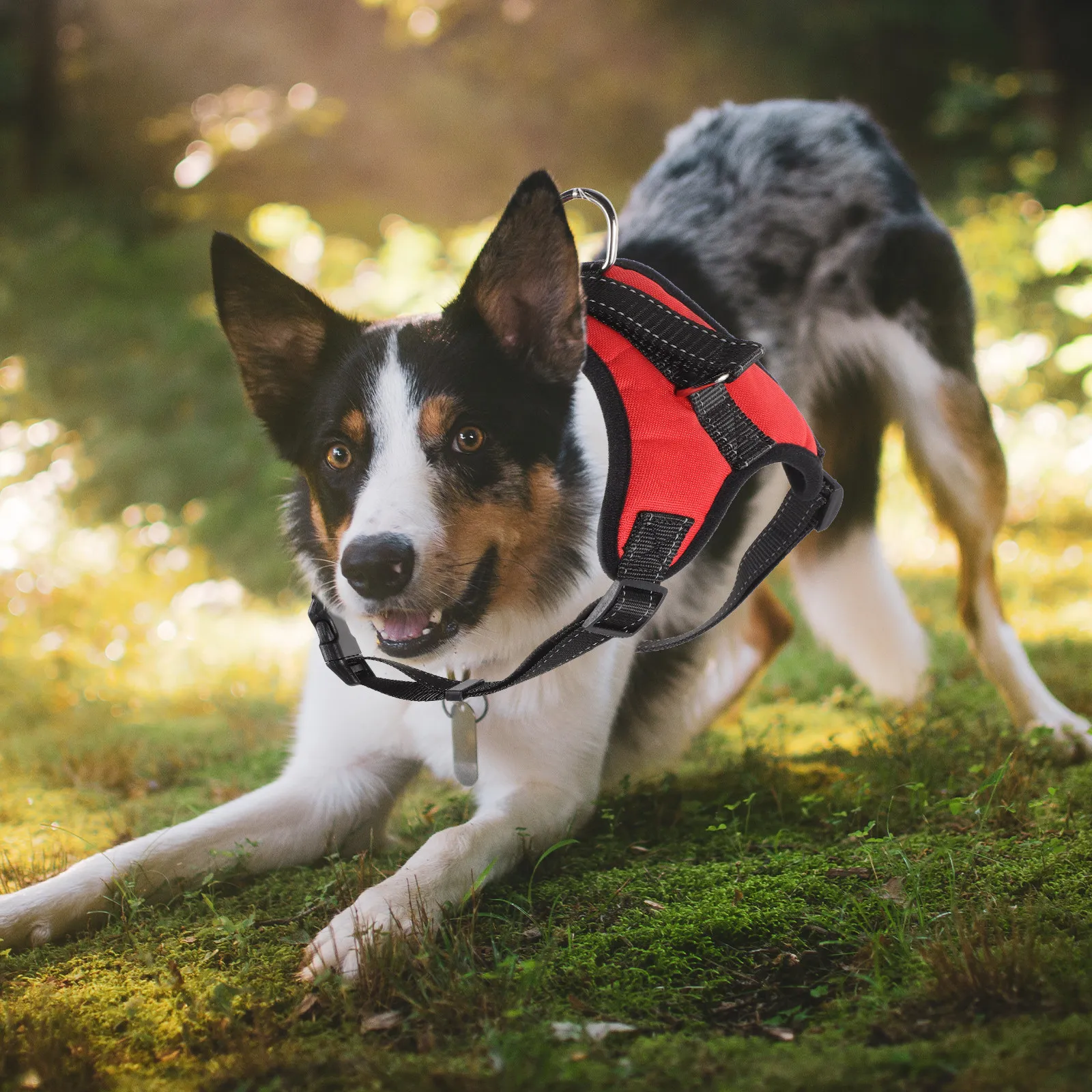 

Регулируемая портативная шлейка для крупных собак: дышащая, легкая, комфортная, многопозиционная, легко надевается и снимается