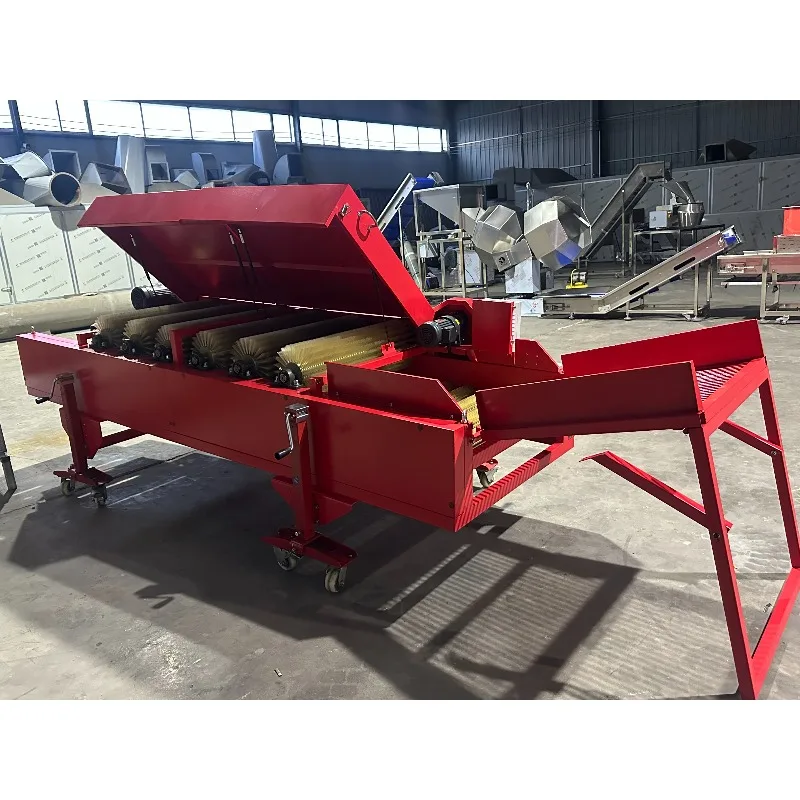 Commercial New Condition Potato Dry Cleaning Machine Fruit Vegetables Continuous Brushes Vegetable Processing Plant Farm Inclu view 5