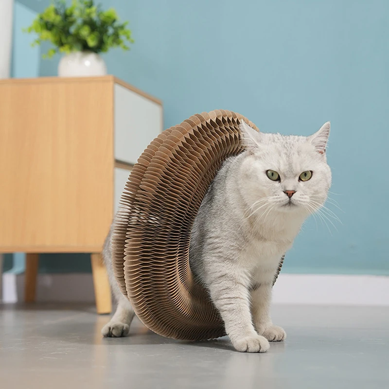Magic Organ Cat Scratching Board Interaktywna drapak dla kota Składany akordeon dla kota Okrągłe faliste koty Interaktywne zabawki