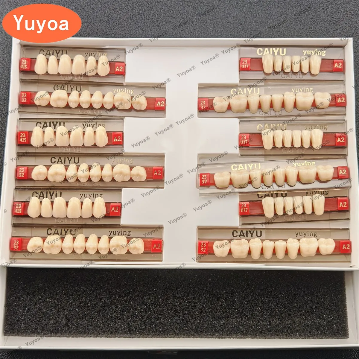 

3 x 84pcs/set Dental Acrylic Resin Teeth -A2/A3 Shades Full Upper & Lower Denture Set Dentists Lab | S/M/L Sizes