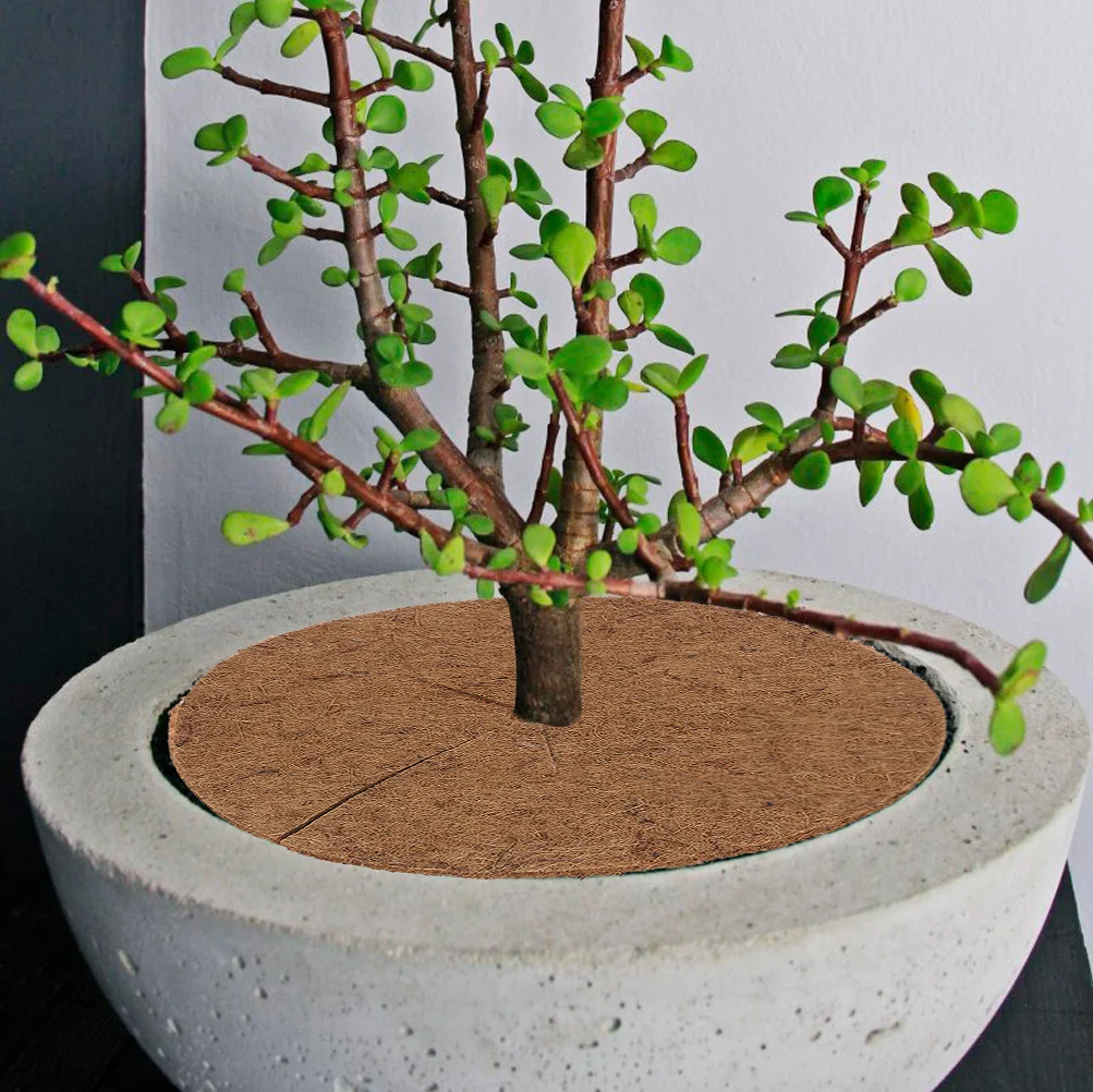 

Coconut Coir Flat Mat For Garden Weed Control Round Fiber Mulch Ring Tree Plant Cover Anti-Grass Pad Flowerpot Mat