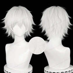 Kaneki Ken Cosplay Wig 30cm Short Silver White Man Hair Anime Heat Resistant Synthetic Wigs