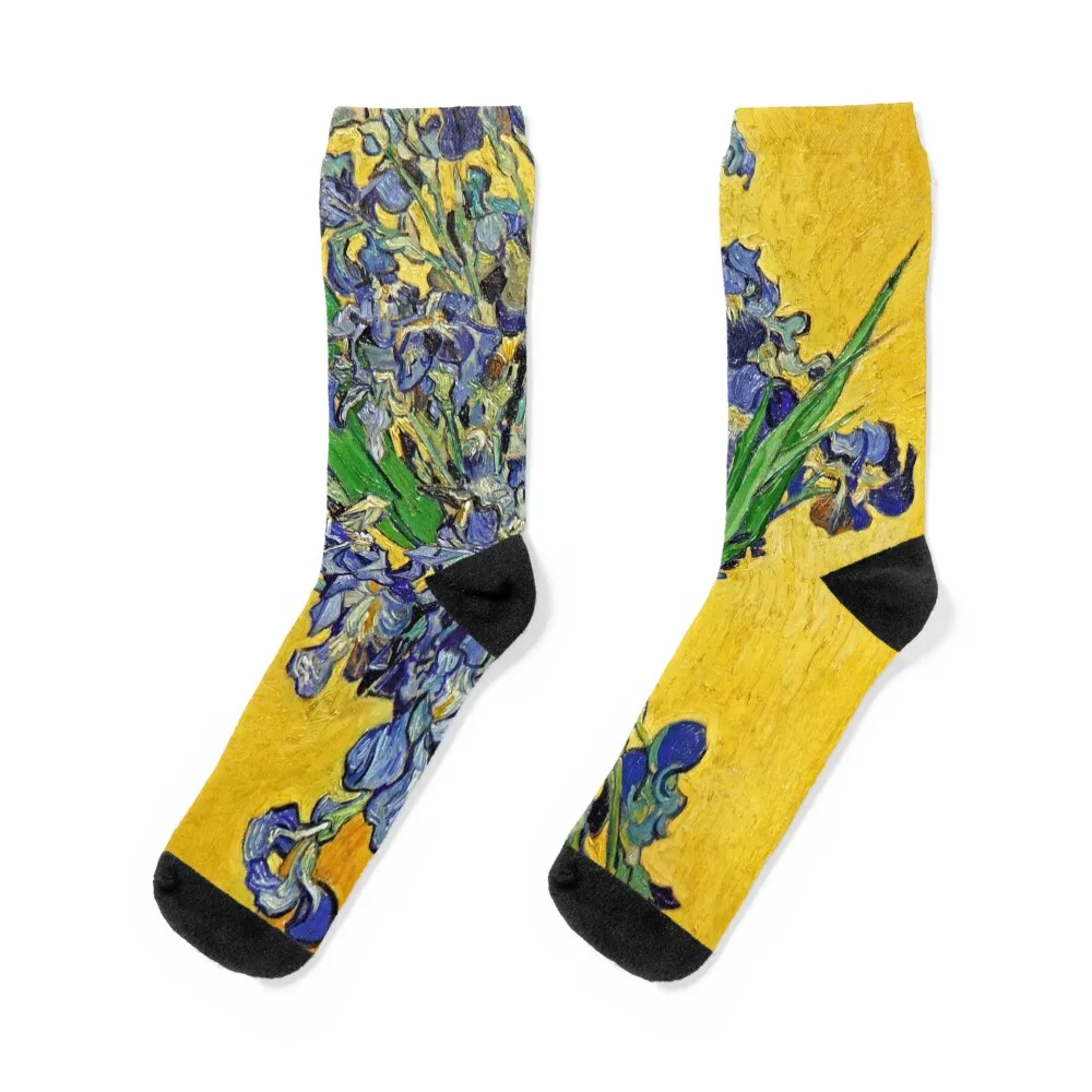 

Irises by Van Gogh Socks luxe ankle hip hop sports and leisure Women Socks Men's