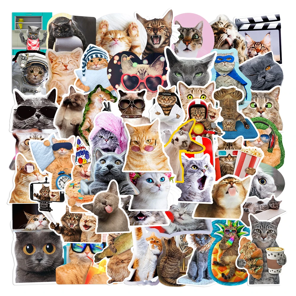 10/30/65PCS Kawaii Funny Cat Stickers Cute Cartoon Decals DIY Skateboard Phone Notebook Luggage Fridge Bike Car Sticker Kids Toy