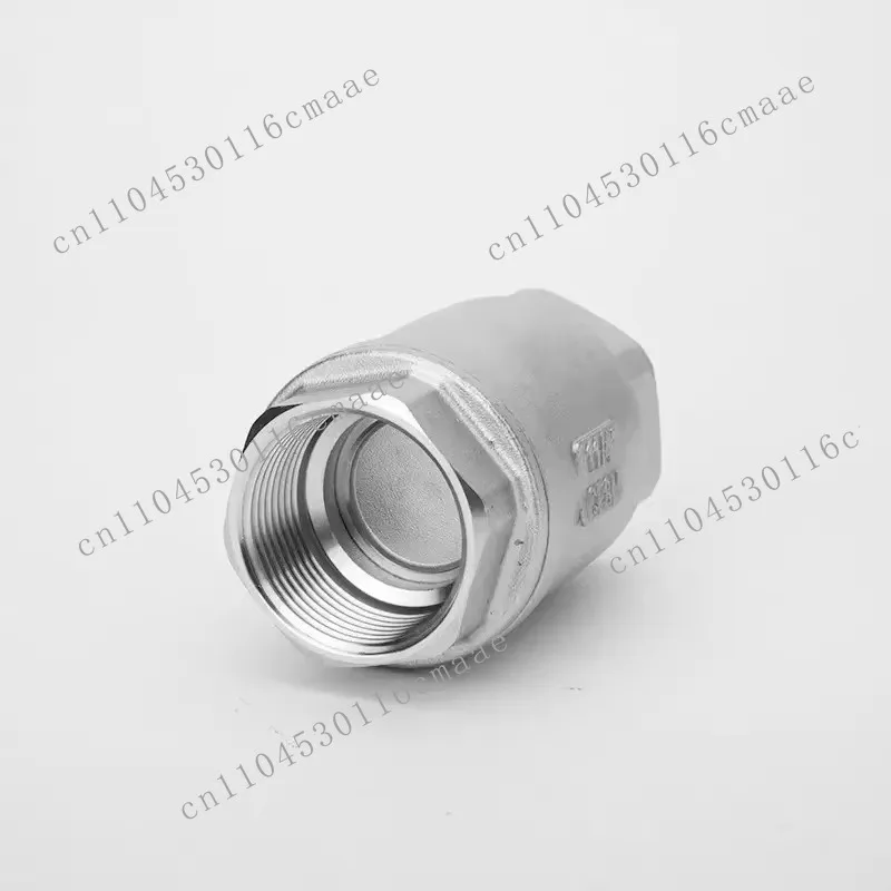 Stainless Steel 304 NPT BSP One Way Non Return H12 Manual High Temperature Thread Spring Load Vertical Check Valve