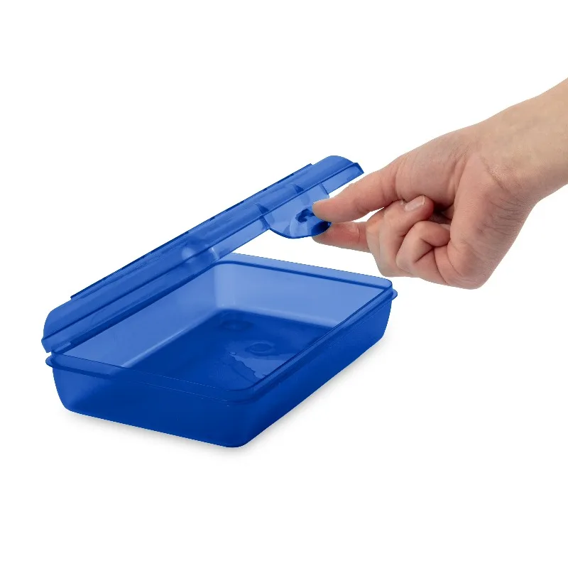 Small Pencil Box, Plastic Storage Case with Hinged Lid and Snap Latch, Portable Pencil Case Organizer for School, Crafts, and More, Blue Tint