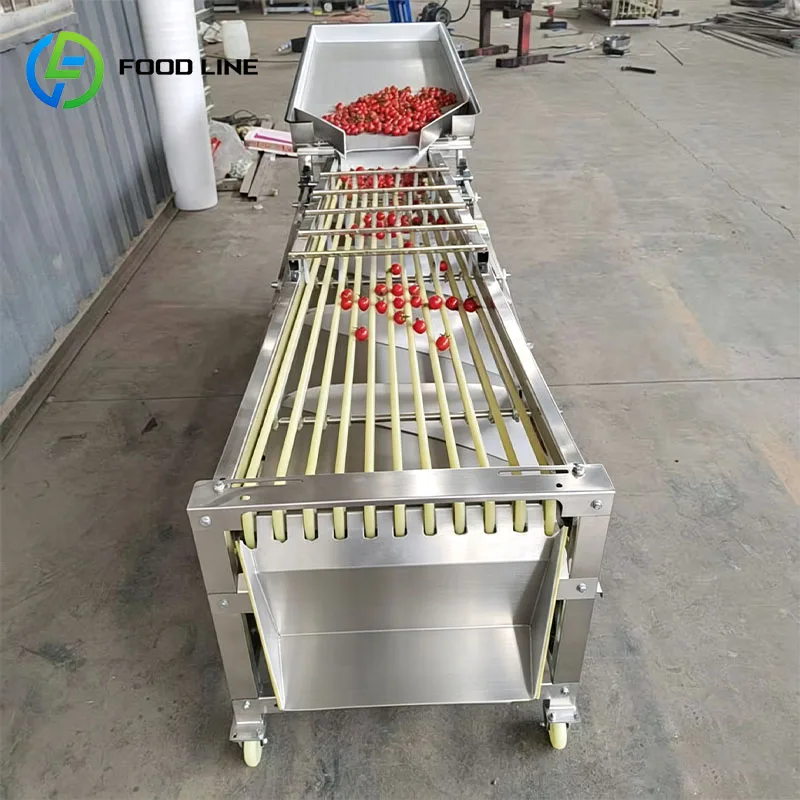 Fruit Size Sorting Machine Fruit Grader Produce Sorter for Apple Pear Orange Cherry Plum Kiwi Customized