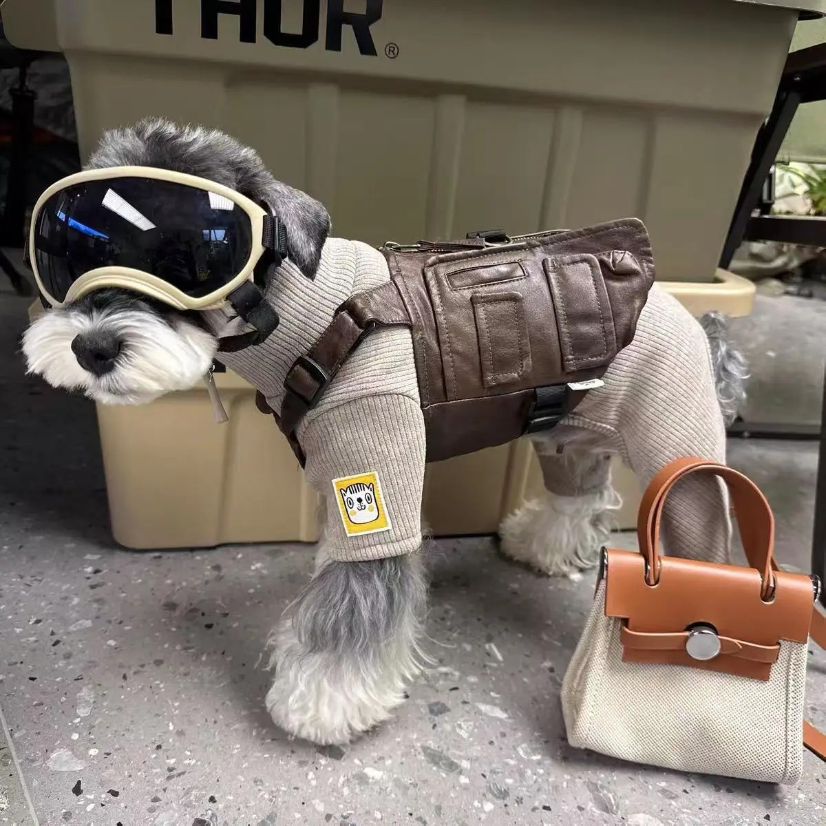 كلاب أليفة القطط سترة معطف جلد ل Schnauzer تيدي الكلاب معطف دافئ سترة فو الجلود موضة الحيوانات الأليفة جرو الملابس الملابس
