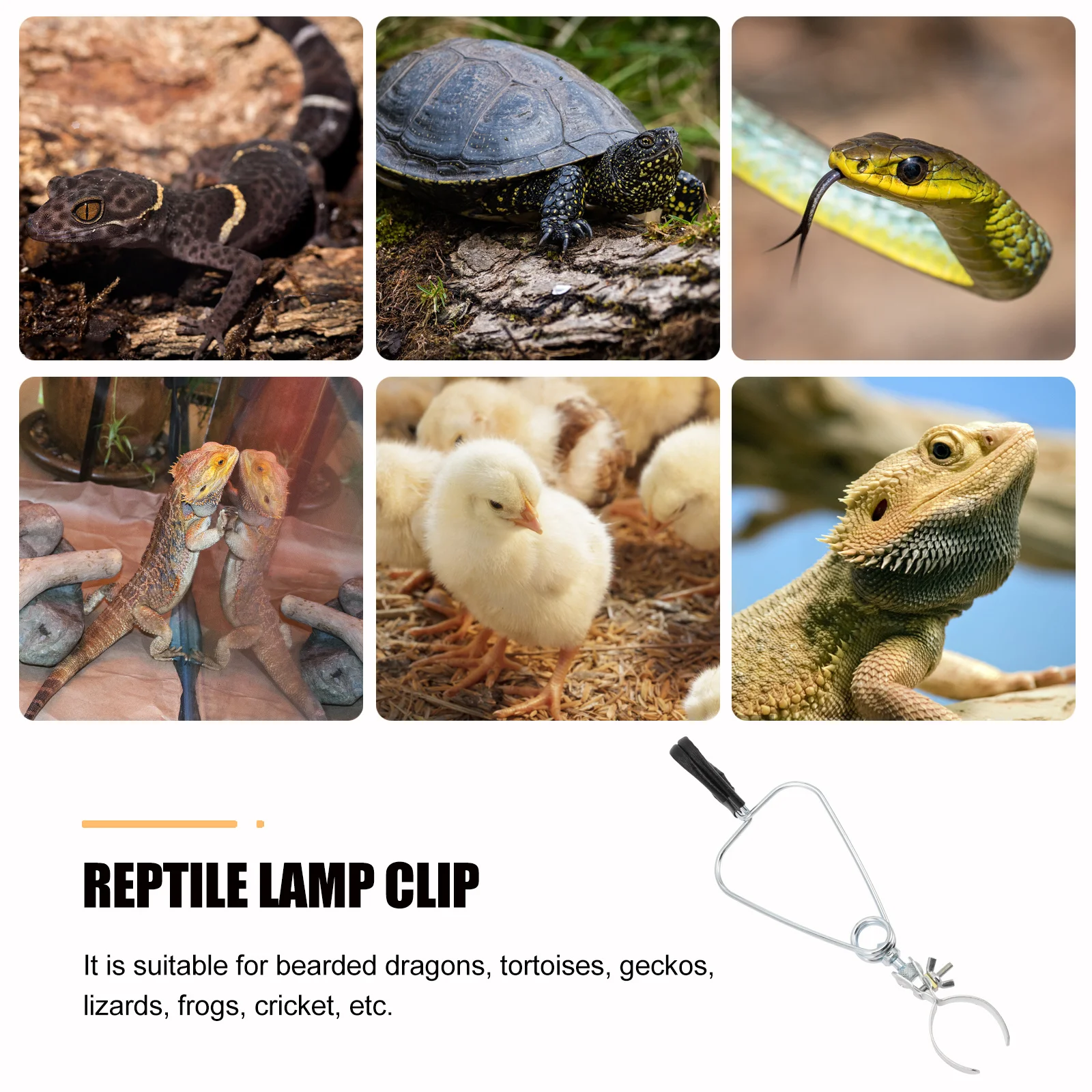 

1Pcs Reptile Lamp Clip Aluminum Alloy Durable Lamp Stand Fixture Strong Grip Reptile Lampshade Holder for Bearded Dragons