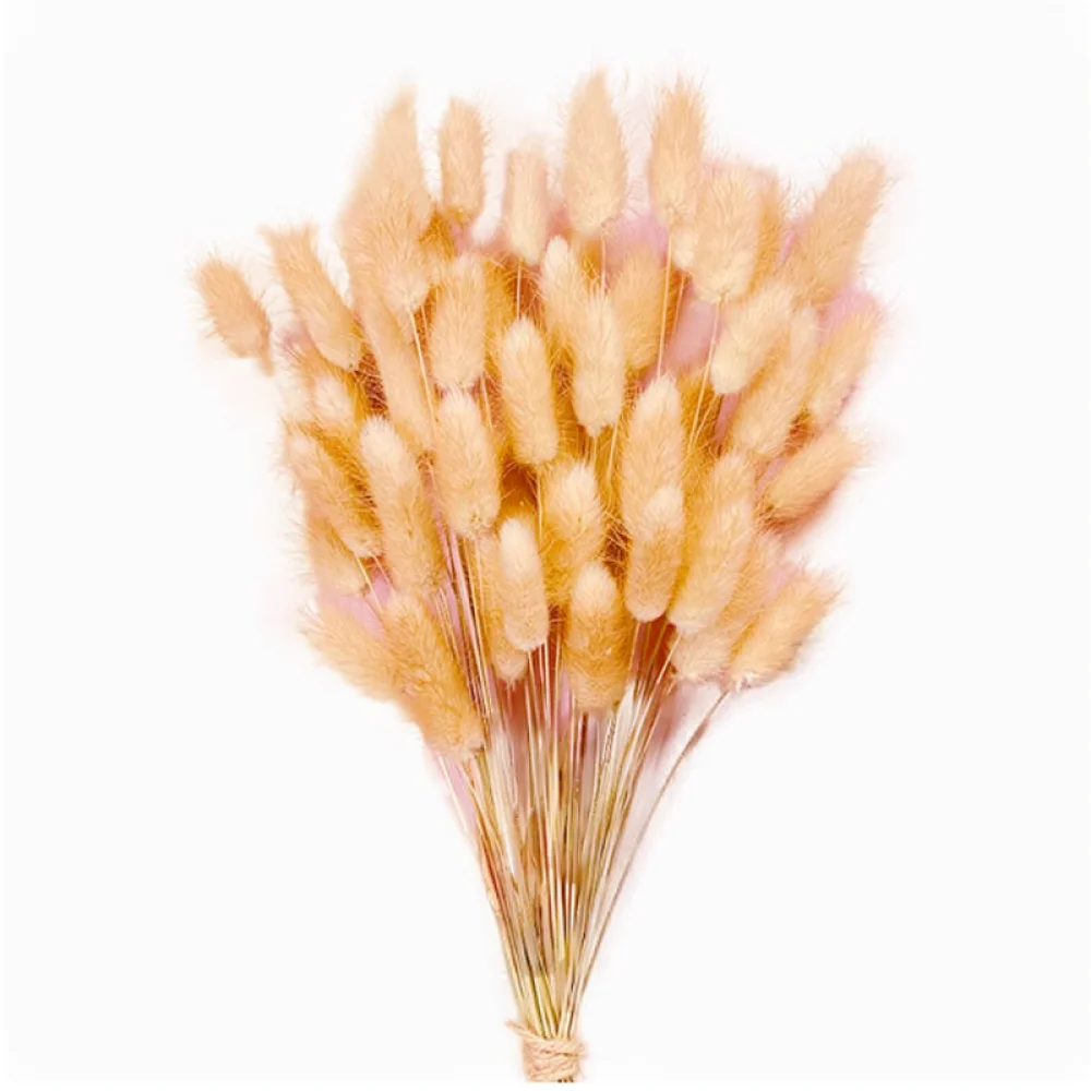 Natural Millet Spray For Hamsters Natural Grain Treats Rodent Molar Chews Small Pet Cage Decoration Habitat Accessories