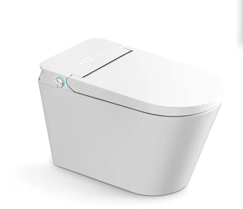 One Piece Toilet with LED Nightlight and Auto Dual Flush Smart Intelligent Toilet