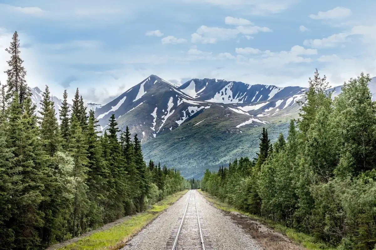 Alaska Mountain Range Railroad Track  woods backdrops High quality computer print scenic Photography Studio Backgrounds