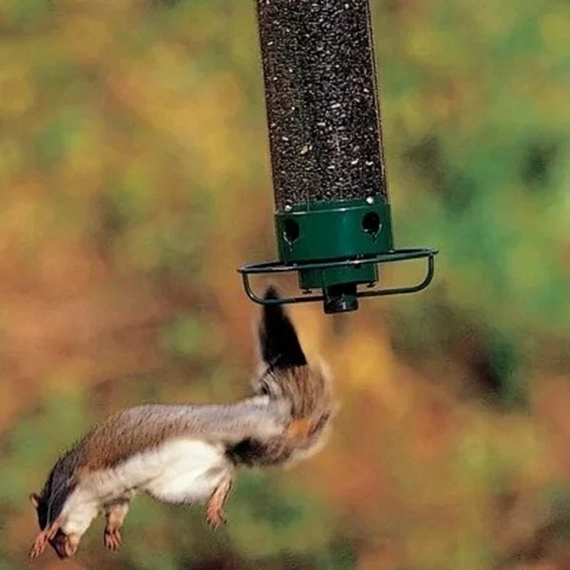 Droll Yankees Squirrel-Proof Wild Bird Alimentador, Pátio ao ar livre Ferro forjado Hanging Hummingbird Alimentador, 2X