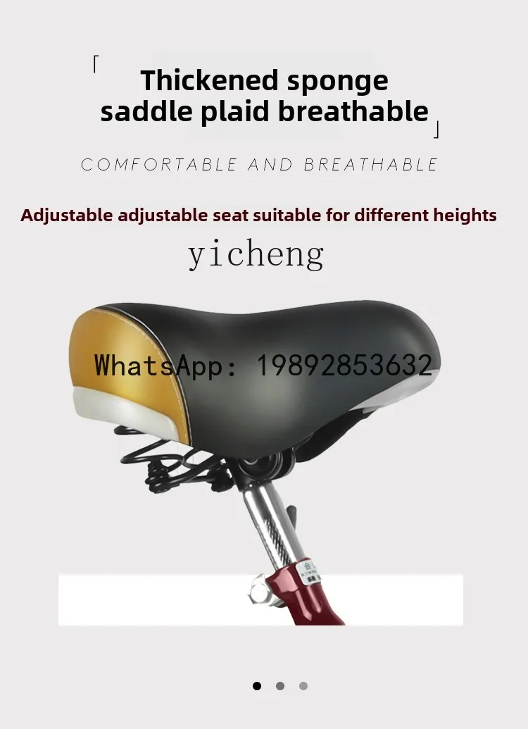 AB Transport ältere Menschen Dreirad Fahrrad Erwachsene Fahrrad menschliches Dreirad ältere leichte Ladung Dreirad