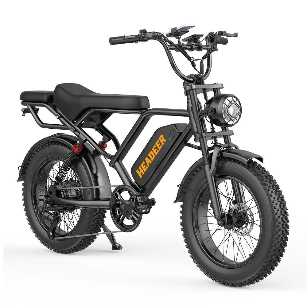 【E-Bike】 750W Nennleistung 48V20AH Akku 20-Zoll-Reifen All-Terrain-Elektrofahrrad 4 Stoßdämpfer Farb-LCD-DISPLAY Elektrofahrrad