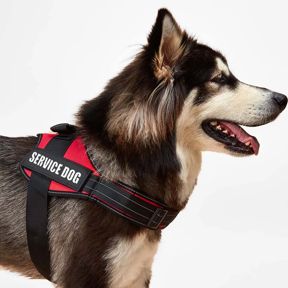 Reflektierendes Hundegeschirr, Weste, Aufnäher, ID, individuell, ohne Ziehen, atmungsaktiv, verstellbar, Haustiergeschirr für Hunde, Outdoor-Walking, Hundebedarf – Detail 16