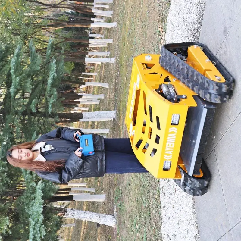 

Customized Remote Control Powered Lawn Mower for Slope Landscaping Park Green Garden Petrol Lawn Mowers