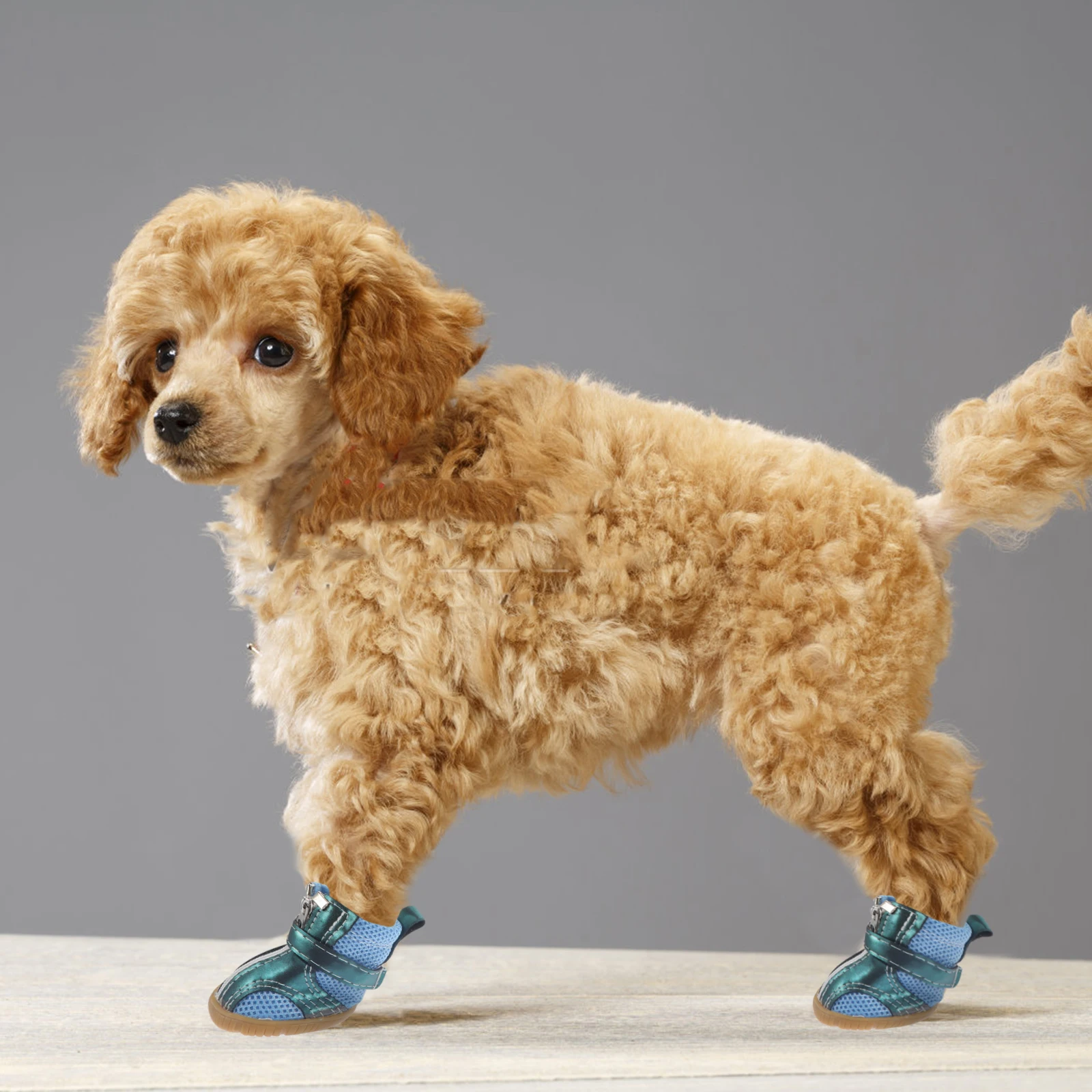 

4 Pcs Anti-slip Beef Tendon Sole Dog Shoes Pet Winter Boots for Small Dogs Puppy Paw Breathable