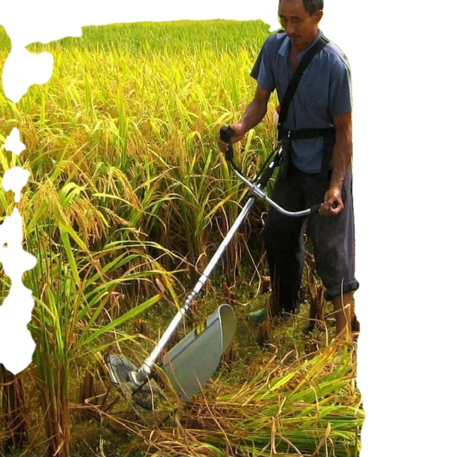 

Super Factory Price Mini Knapsack Gasoline Rice Combine Harvester GRASS TRIMMER GRSASS CUTTER GRS CUTTING