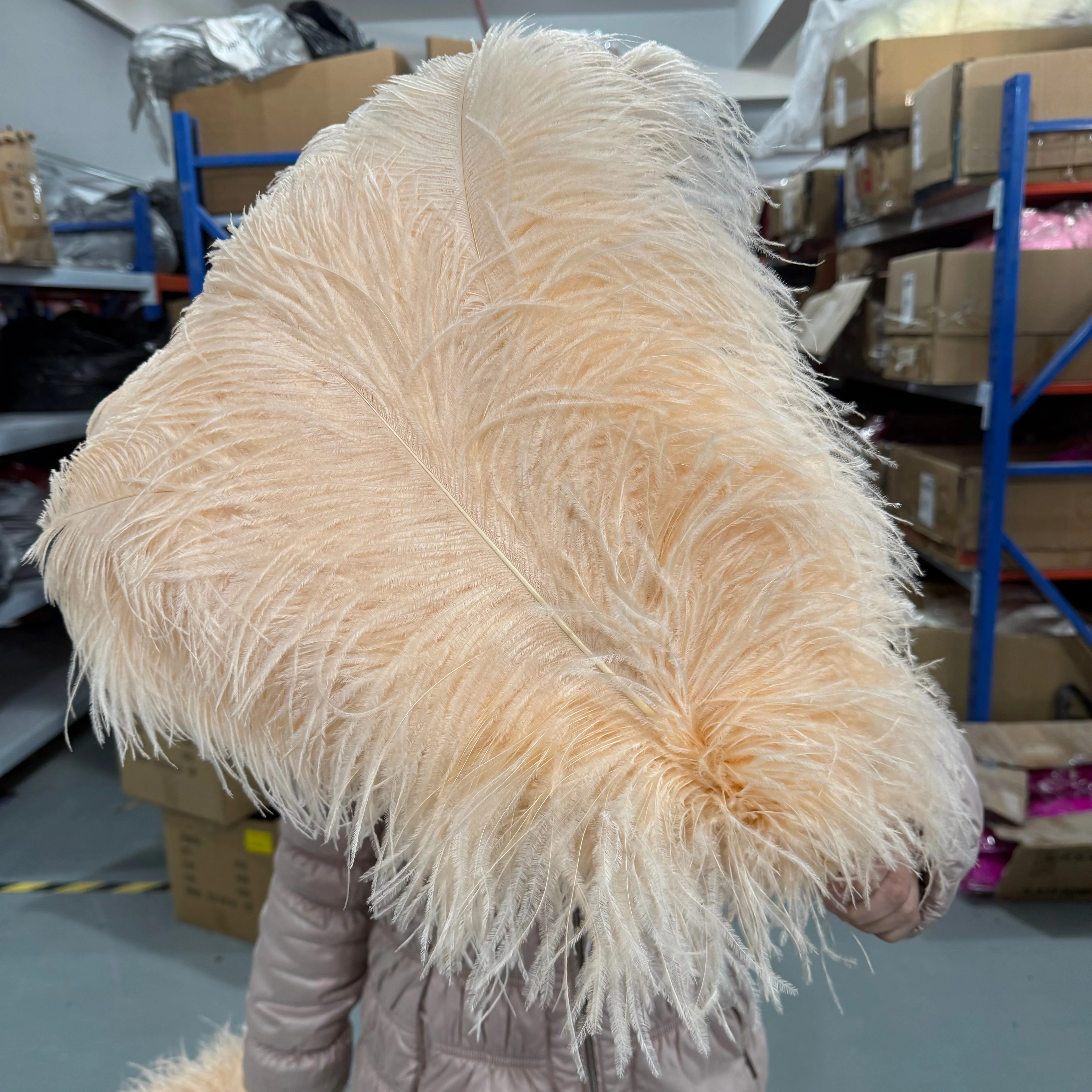 Premium Quality Ostrich Feathers Hard Shots 60-65cm 10/50/100/200Pcs Natural Plumes for Wedding Table Centerpiece Stage Decor