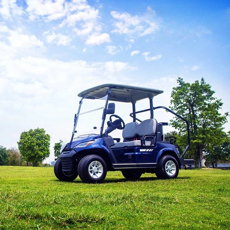 Electric vehicle two-seater golf electric vehicle scenic sightseeing car campus reception shuttle scooter
