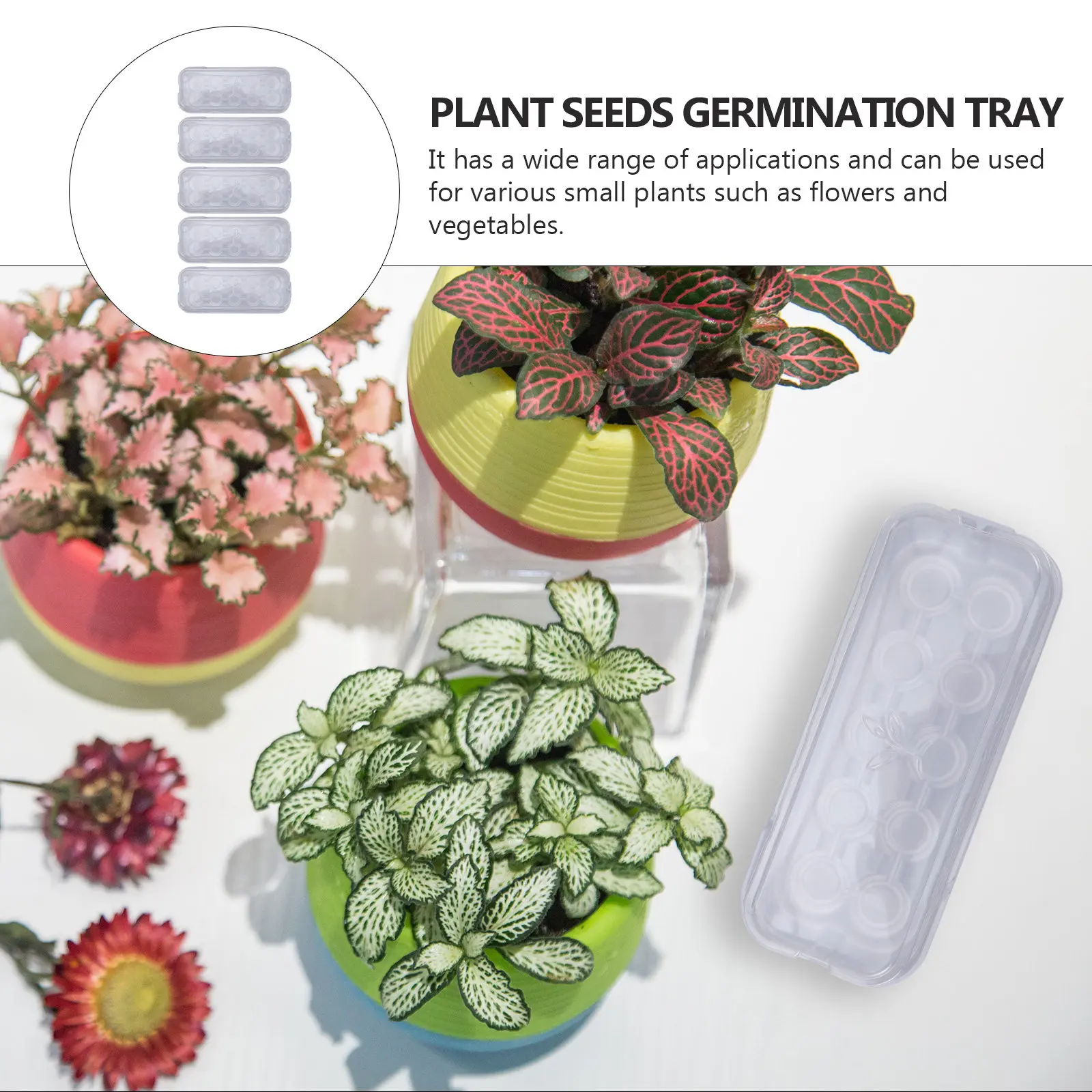 5Pcs Plastic Germination Tray with Transparent Lid for Home Vegetable Gardening Moisture Proof Warm Seed Starter Nursery