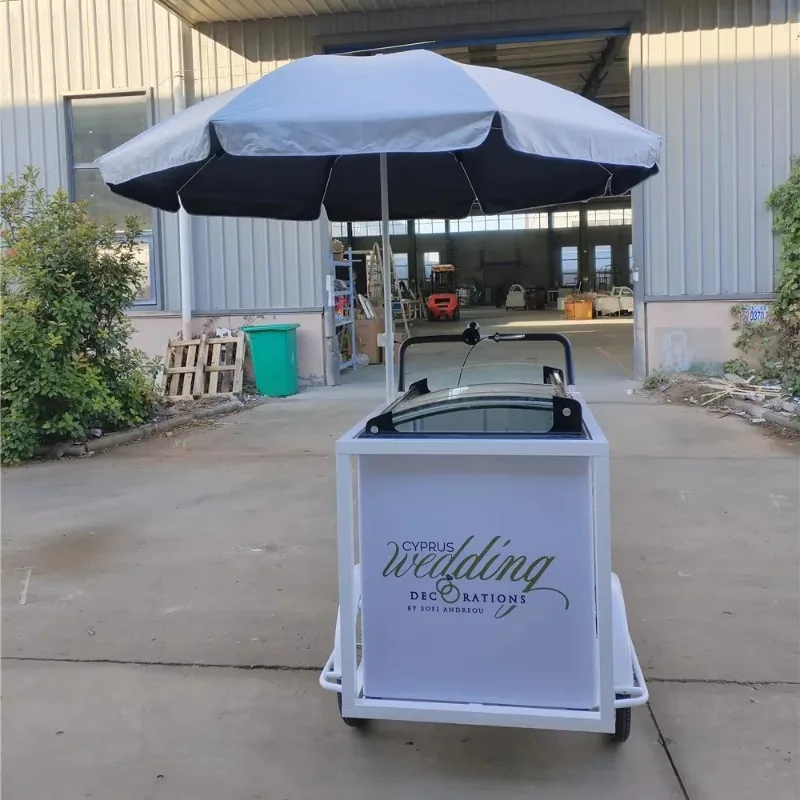 Triciclo/carrinho/bicicletas de sorvete para venda Bicicleta com freezer