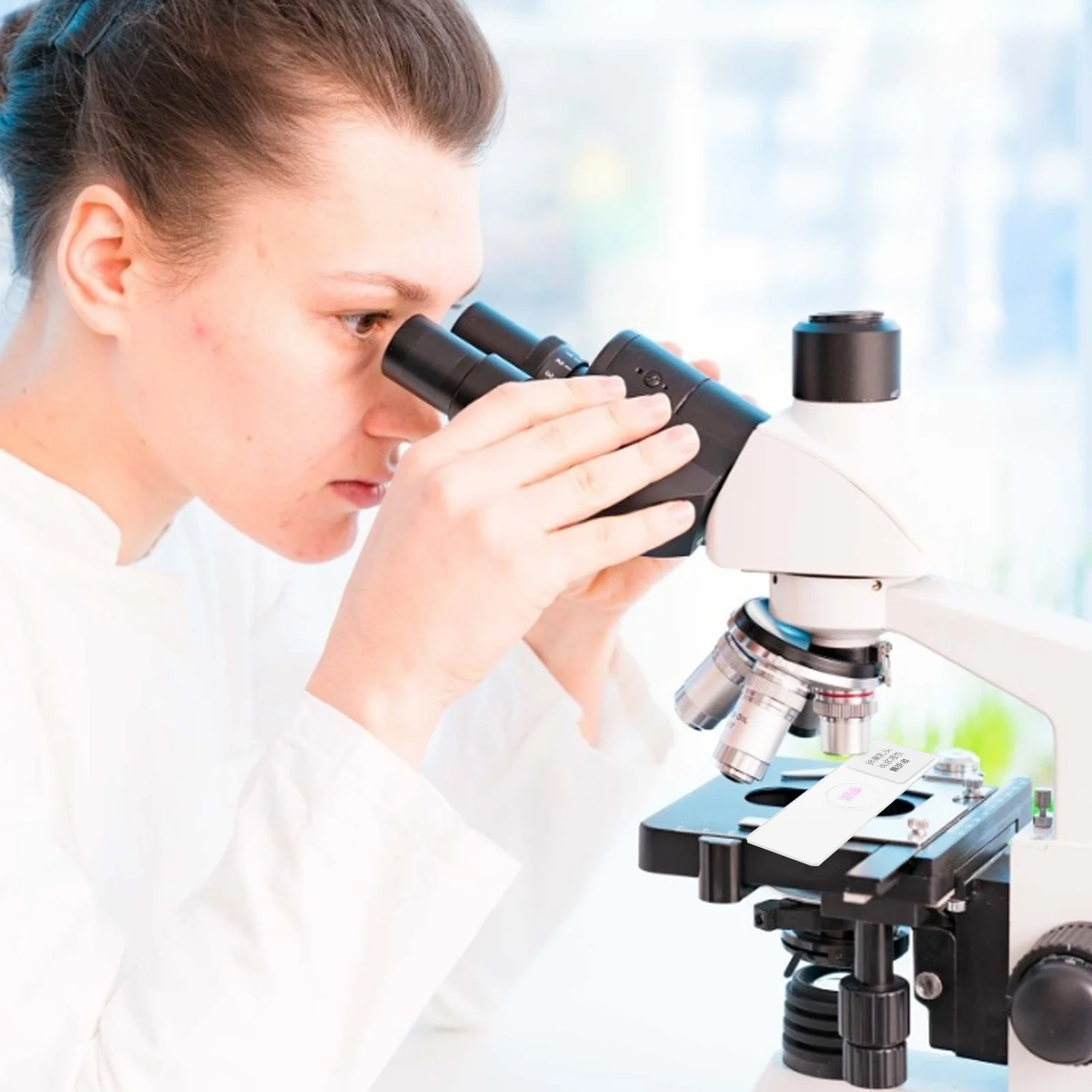 

1Pcs Prepared Microscope Slide High Quality Glass Scratch Resistant Biology Class Prop Micro World Exploration Specimen Slide