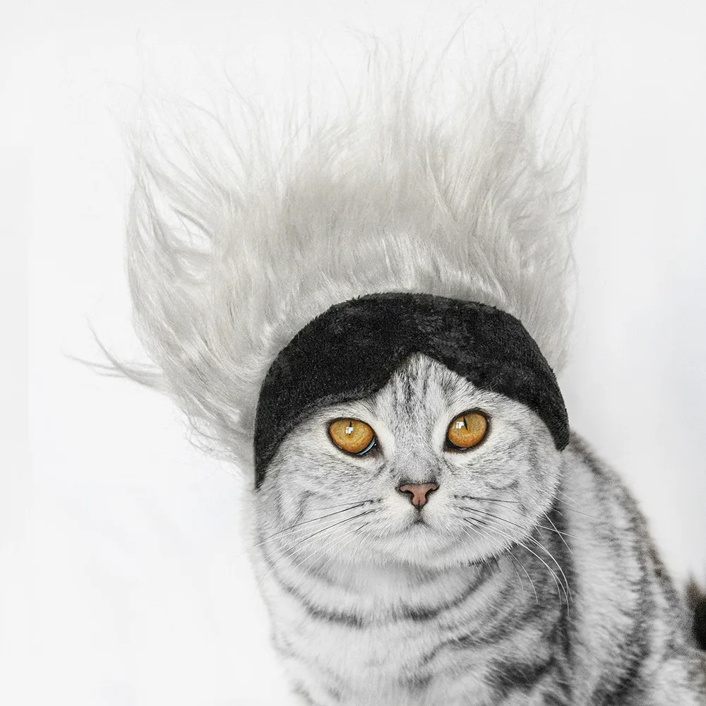 Simple Casual Pet Polyester Wig Headgear Cat Funny Solid Color Wig Cat Eye Mask Hat Pet Dog Party Hat