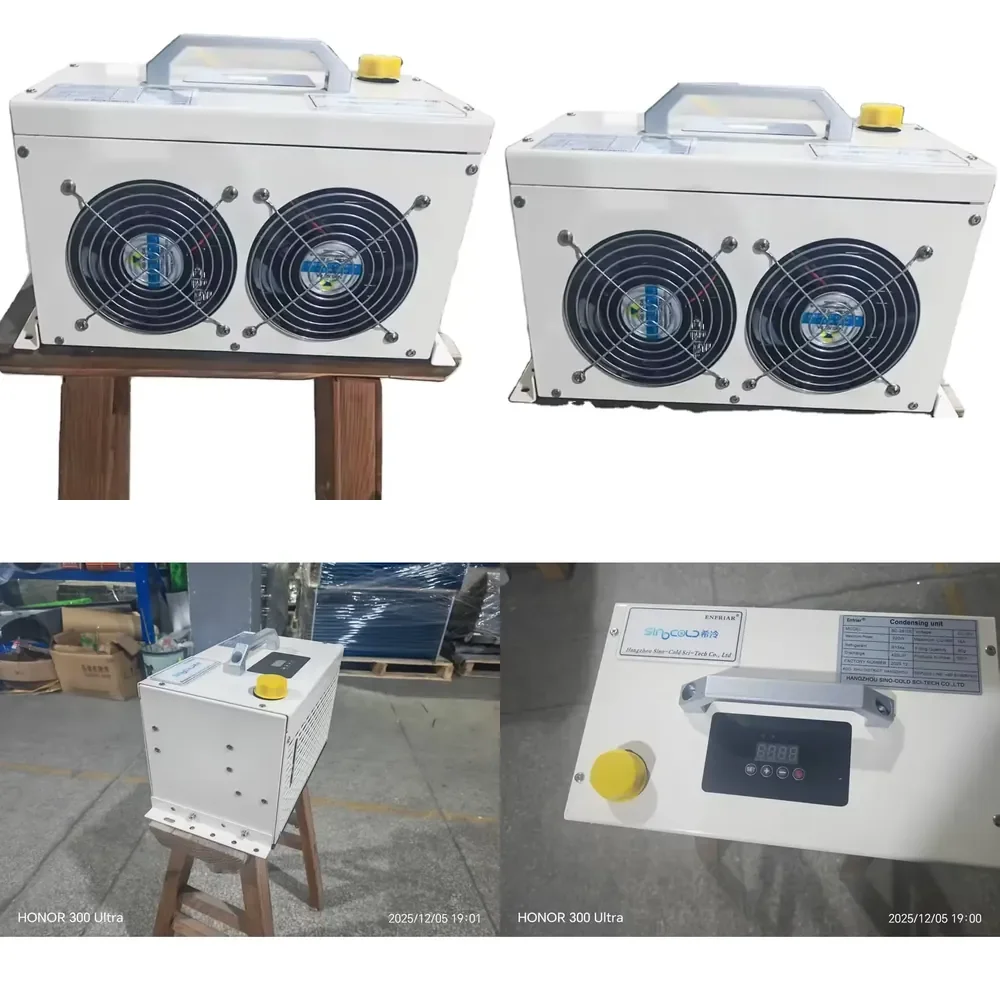 

Condensing Unit for Racing Cars Model Name of SC-2810E Voltage DC 12V 24V Power 220w Current 18A R134a