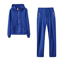 Autumn and Winter European and American Fashionable Sports and Leisure Solid Color Suits Personalized Zipper Pocket Two-piece Se - Image 4