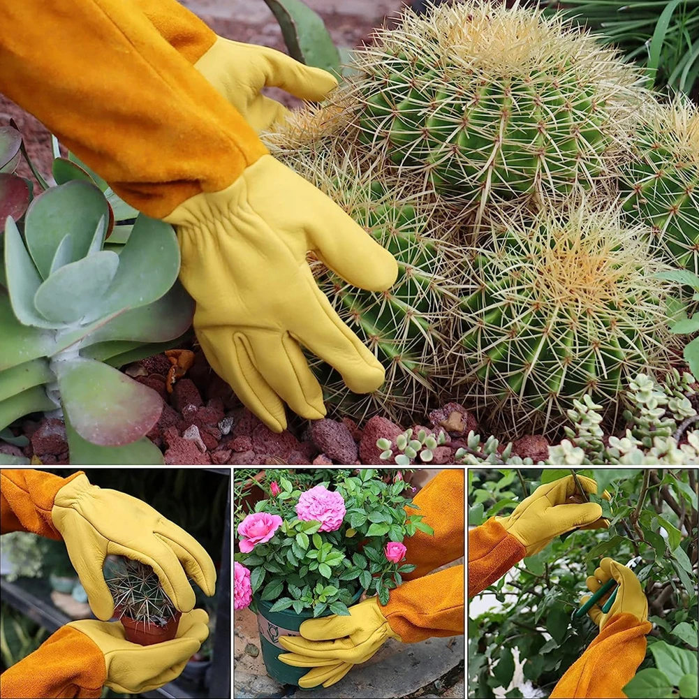 زوج واحد من قفازات الحدائق الط - مراجعة Garden Gloves Thorn Proof وسعره