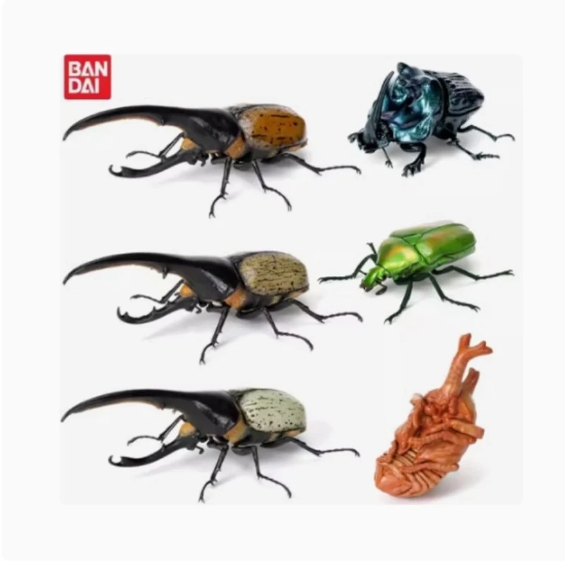 Bandai Biology Illustrated Guide Reeves' Turtle Beetle Scorpion Collection Holiday Gifts Gashapon Action Figures Model Kids Toy