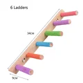 6Ladders