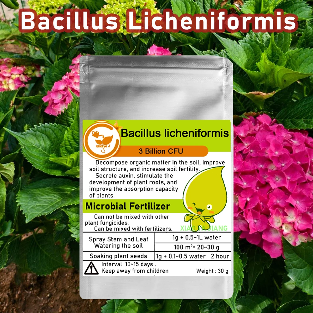 

30g Multi-Strain Bacillus licheniformis Microbial Organic Fertilizer Control Agent – For Plant Pathogen Suppression
