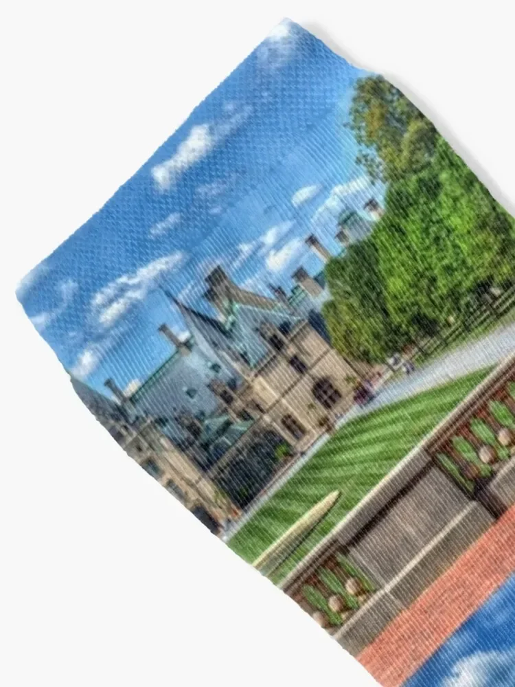 The Biltmore Estate Socks cool gifts Socks Man Women's