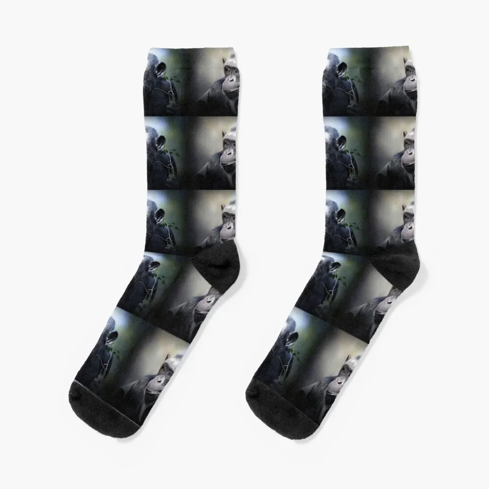 

Chimpanzee Socks christmas gifts anime gym hiphop Woman Socks Men's